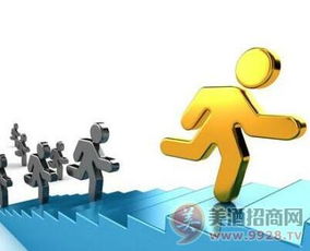 经销商如何在新老产品间做出明智选择 一份市场营销策划指南