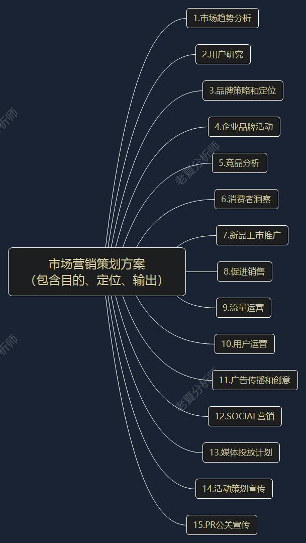 致胜蓝海 深度市场趋势、用户研究与整合营销策划方案实战指南